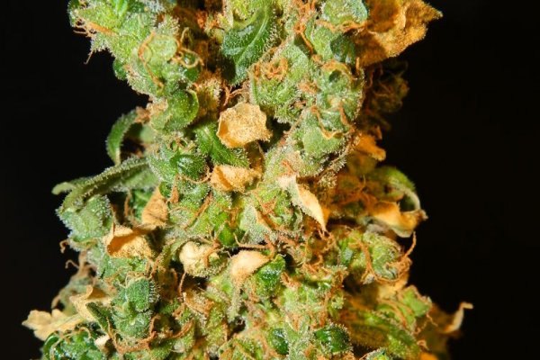 Кракен войти